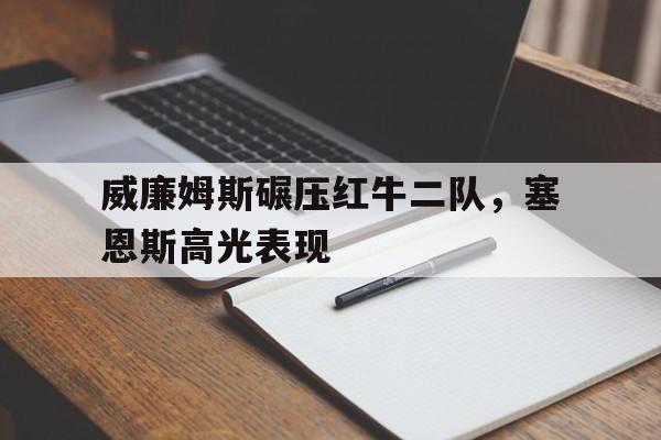 威廉姆斯碾压红牛二队，塞恩斯高光表现