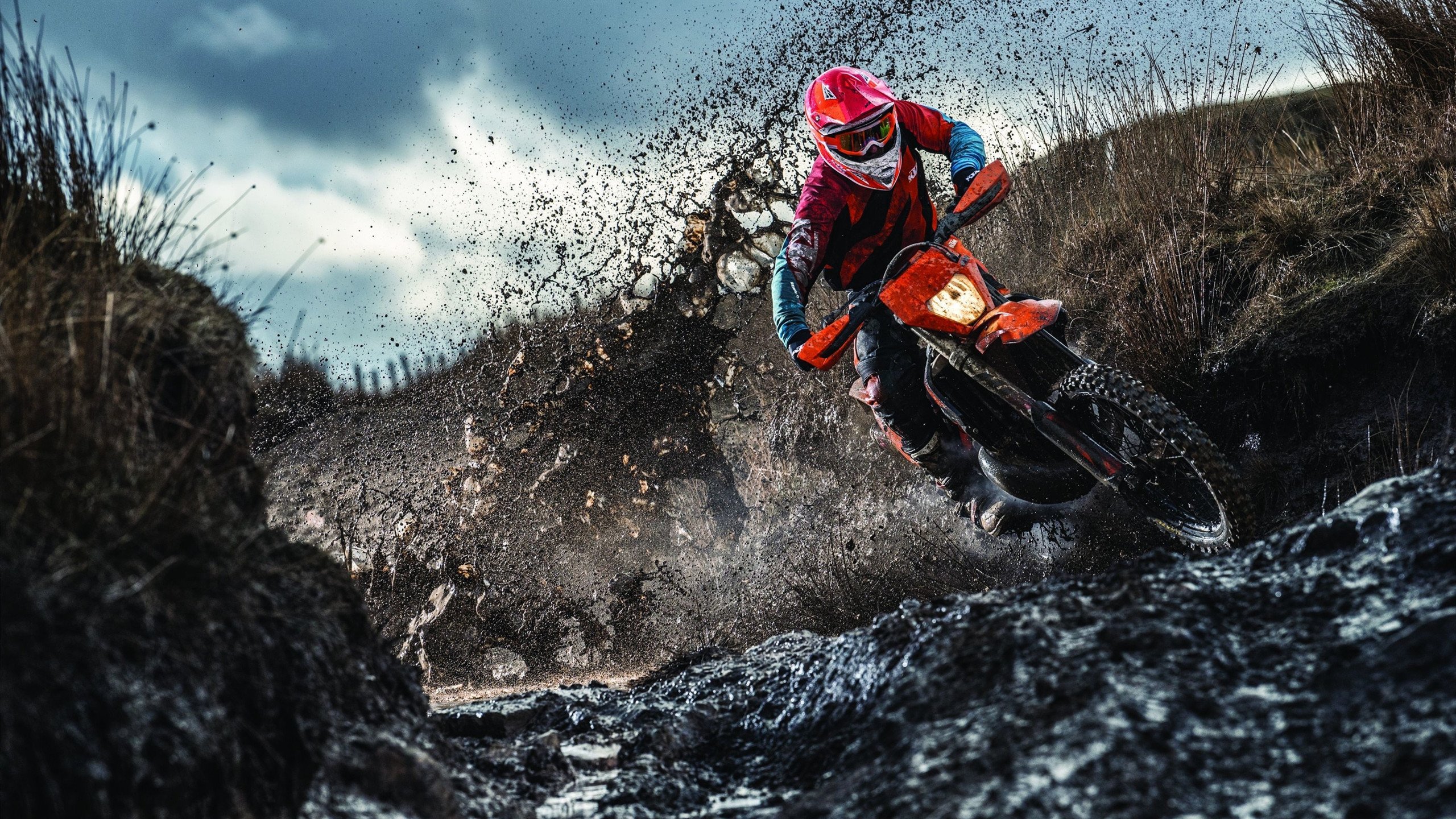 奥斯梅恩的权杖，当世界杯之夜被一个男人的意志重塑