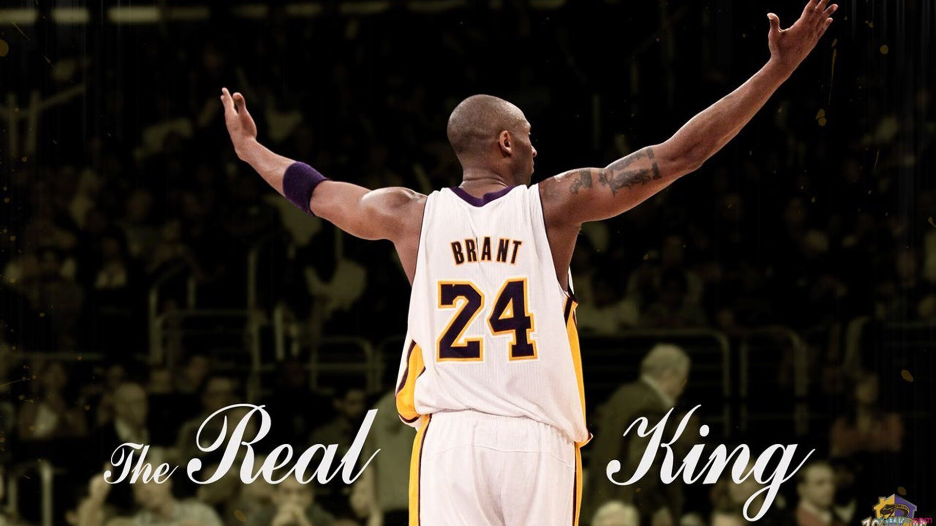 约基奇成全场焦点，湖人巅峰对决胜出勇士